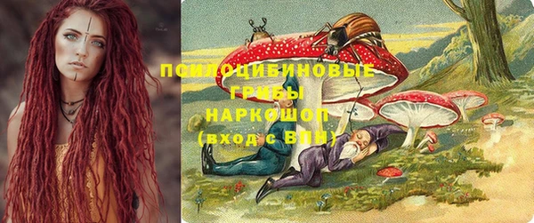 дживик Абинск