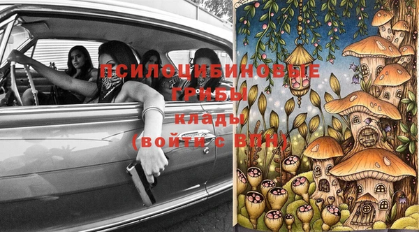 дживик Абинск