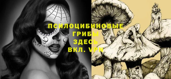 соль курить ск Абаза