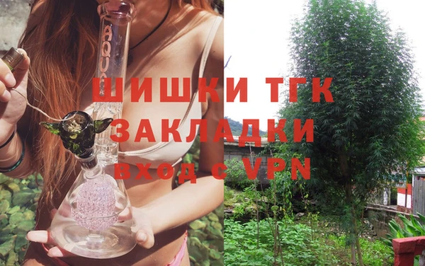 дживик Абинск